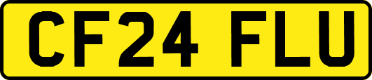 CF24FLU