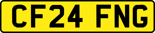 CF24FNG