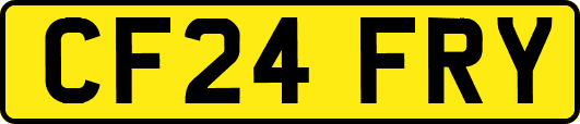 CF24FRY