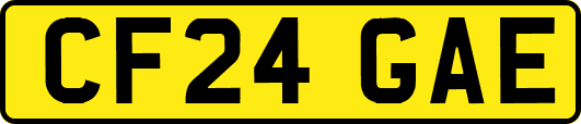 CF24GAE