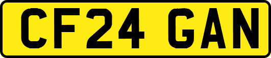 CF24GAN