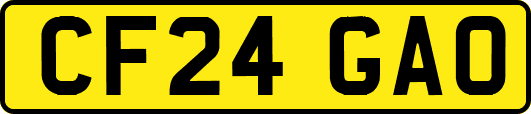 CF24GAO