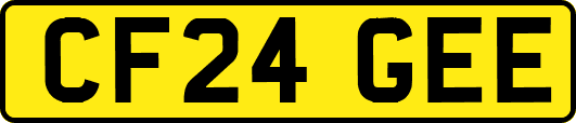 CF24GEE