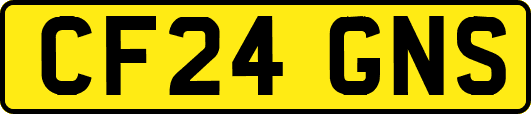CF24GNS