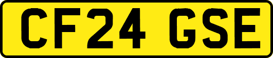 CF24GSE