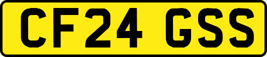 CF24GSS