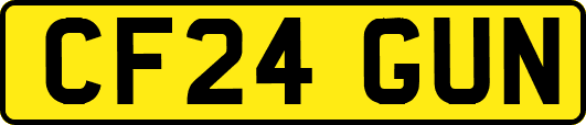 CF24GUN