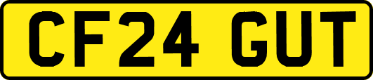 CF24GUT