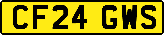 CF24GWS