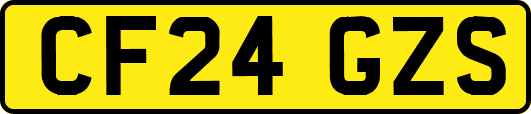 CF24GZS