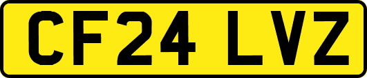 CF24LVZ
