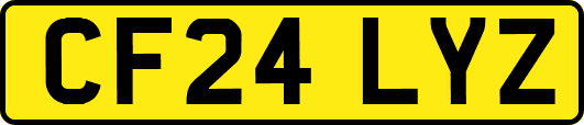 CF24LYZ