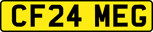 CF24MEG