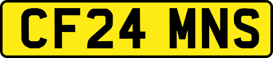 CF24MNS