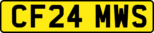 CF24MWS