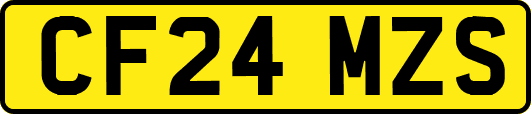 CF24MZS