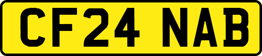 CF24NAB