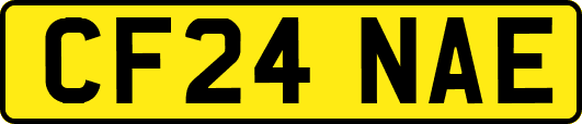 CF24NAE