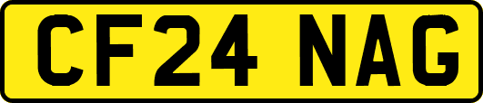 CF24NAG