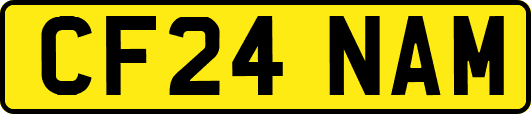 CF24NAM