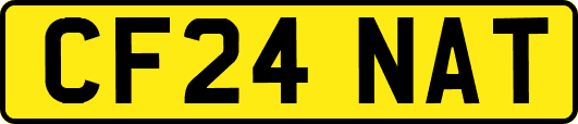CF24NAT