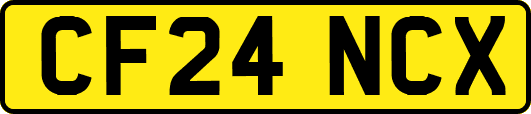 CF24NCX