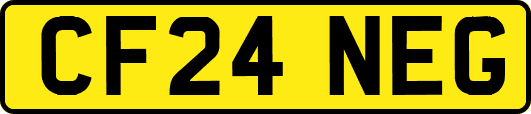 CF24NEG