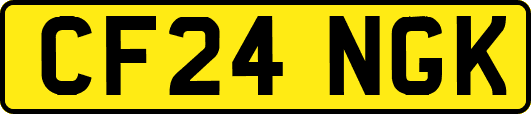 CF24NGK
