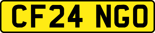 CF24NGO