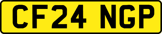 CF24NGP