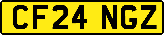CF24NGZ