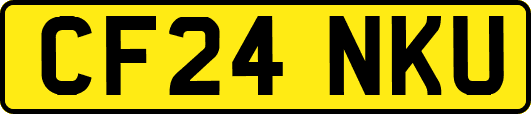 CF24NKU