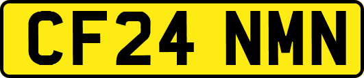 CF24NMN