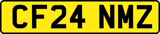 CF24NMZ