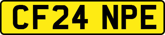 CF24NPE