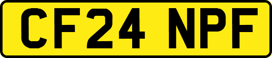 CF24NPF