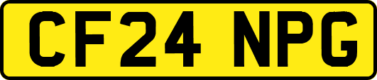 CF24NPG