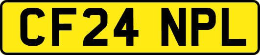 CF24NPL