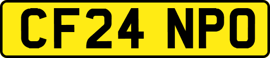 CF24NPO