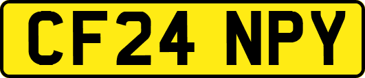 CF24NPY