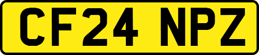 CF24NPZ