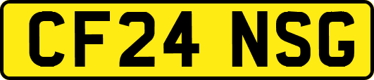 CF24NSG