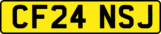 CF24NSJ