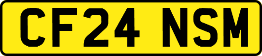 CF24NSM