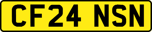 CF24NSN