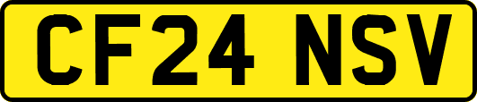 CF24NSV