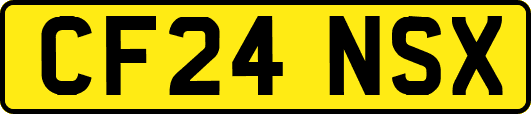 CF24NSX