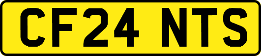 CF24NTS