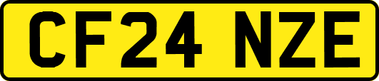 CF24NZE