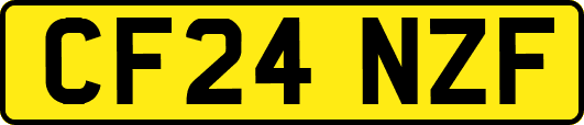 CF24NZF